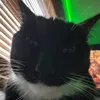 kay_w64