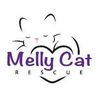 mellycatrescue