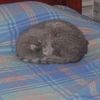 laura_15322