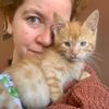 bittykittens