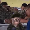 cabecadebatatinha