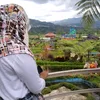 joybolang77