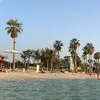 barbedundaron