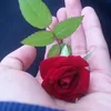 adilal037