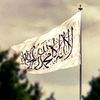 ahmedhassan23595