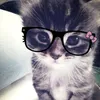 pinx_sss