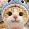mioo299