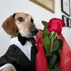 thichtiktok63