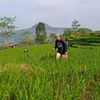 Lukman Nurhakim