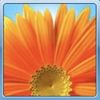 user25906890