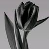 user926wh4vi3c