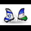 daliya_7117