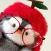 jackrbdaj