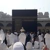 mmujahidahmed6
