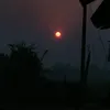 binoy___1