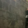 koyoj