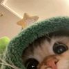 indriani_tzy