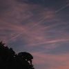 aura_1535