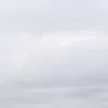 nosesabeee_44