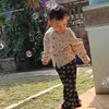 banggor81