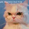 nhincaidellj01