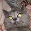 _rzayev_178