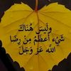 user3464586650