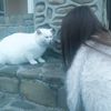 sofiiqwx
