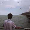 oliqarx_0771