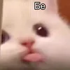 rolitolly