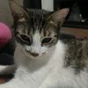 danna_4157
