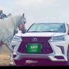 ksa5o9