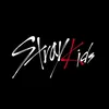 straykids._60