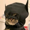 y_ohbatman