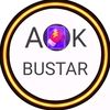 bustar009