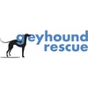 greyhoundrescue