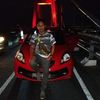 phutrabugis5