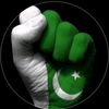 shamshadali1294