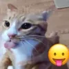 nhwquynh_1910