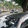 mung_wong_sepele97