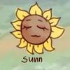 sunny_sk13s