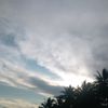 fabiyo31