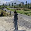 celeng_866