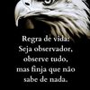 jorgefernando819