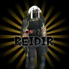 reidir_ldoi