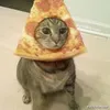 pizza_time78