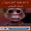 новый блох