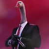 mr.goose.1488