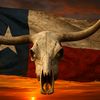 bluecollar.texan