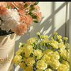 aleen36334
